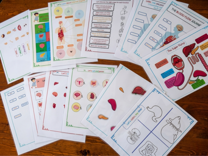 Human Anatomy Activity Book for Kids - MedPrintablesShop