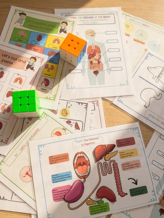 Human Anatomy Activity Book for Kids - MedPrintablesShop